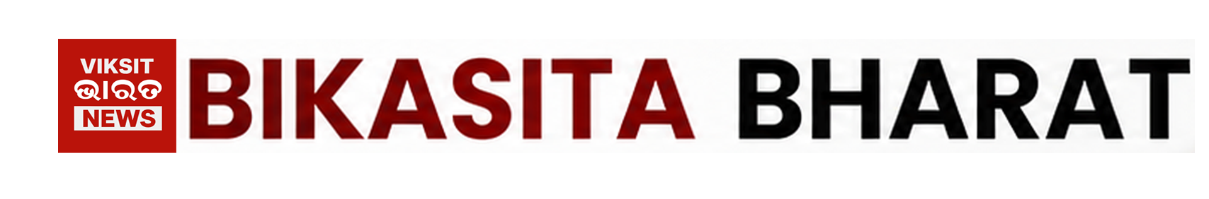 VBN News Logo